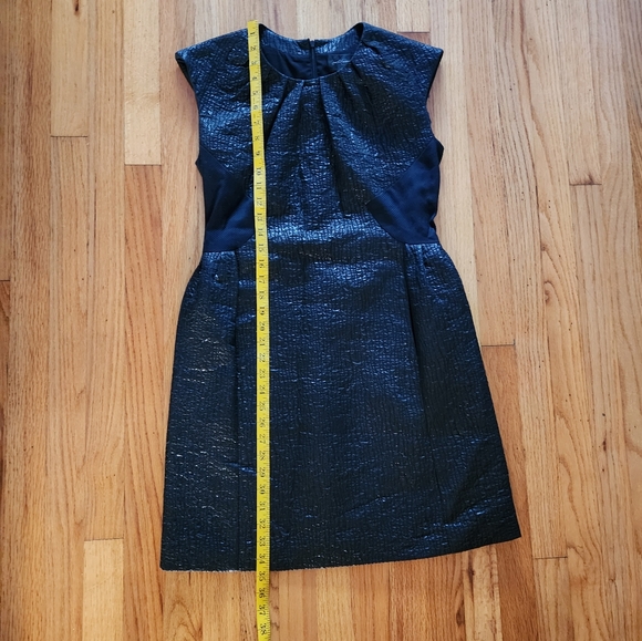 Rachel Comey Glossy Textured Paneled Dress Made in NYC Size Medium - Picture 11 of 12